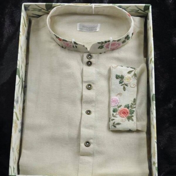 Regular Fit Semi-Formal Panjabi
